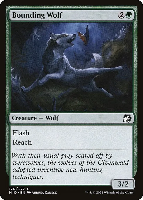 Bounding Wolf · Innistrad: Midnight Hunt 170/399