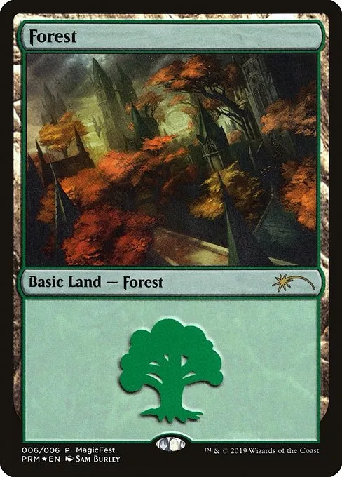 Forest · MagicFest 2019 6/7