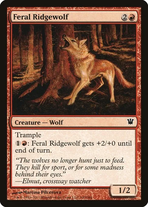 Feral Ridgewolf · Innistrad 142/264