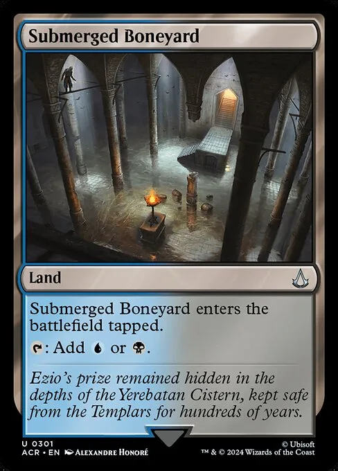 Submerged Boneyard · Assassin's Creed 301/309