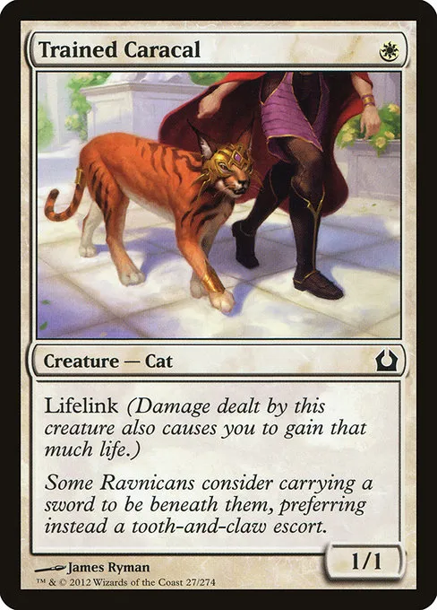 Trained Caracal · Return to Ravnica 27/274