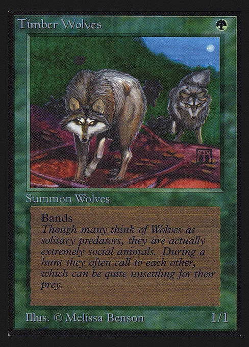 Timber Wolves · Intl. Collectors' Edition 220/302