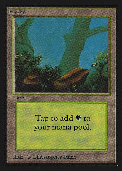 Forest · Intl. Collectors' Edition 300/302