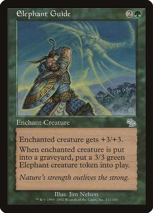 Elephant Guide · Judgment 111/143