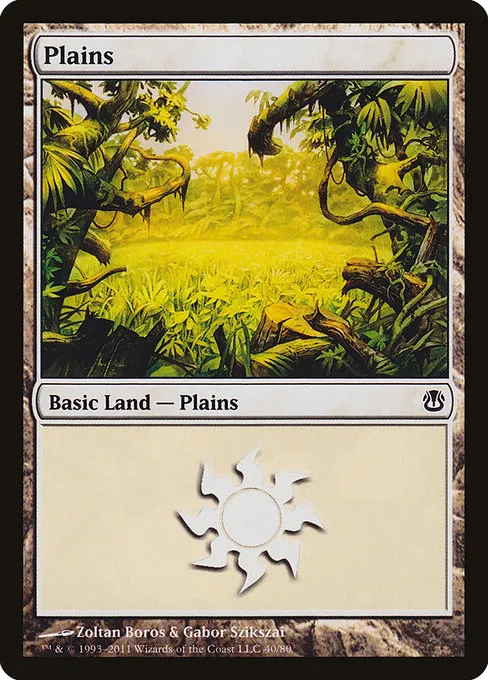 Plains · Duel Decks: Ajani vs. Nicol Bolas 40/80