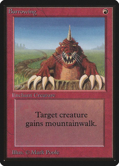 Burrowing · Limited Edition Beta 139/302