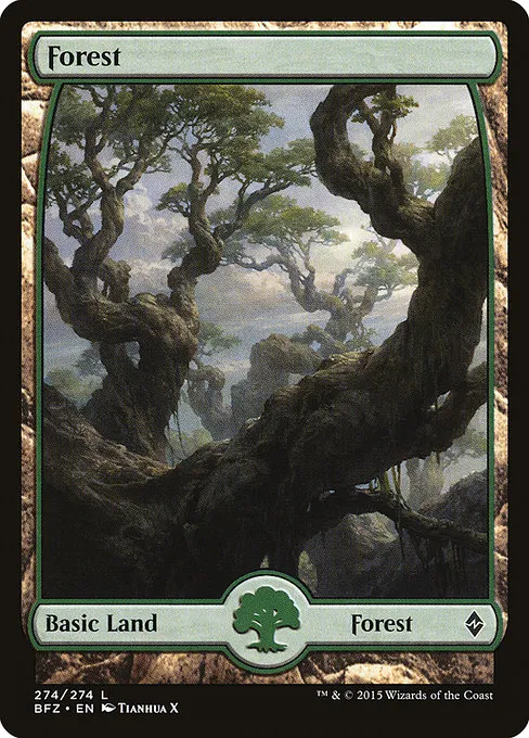 Forest · Battle for Zendikar 274/299