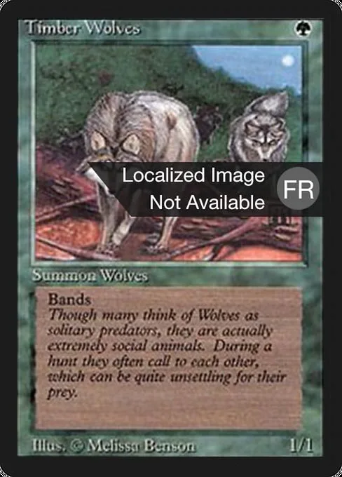Timber Wolves · Foreign Black Border 219/307