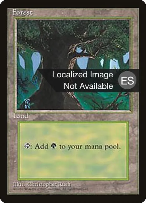 Forest · Fourth Edition Foreign Black Border 378/378