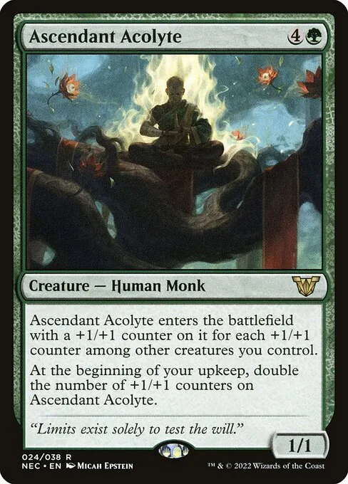 Ascendant Acolyte · Neon Dynasty Commander 24/179