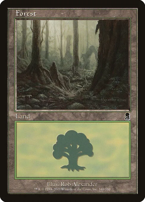 Forest · Odyssey 348/353
