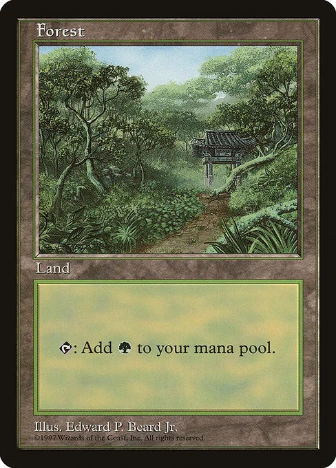 Forest · Asia Pacific Land Program 11/15