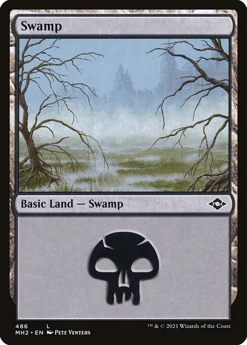 Swamp · Modern Horizons 2 486/493