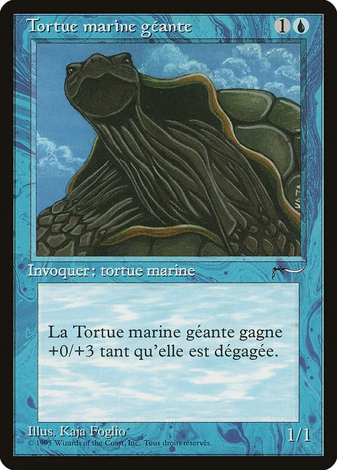 Giant Tortoise · Renaissance 34/122