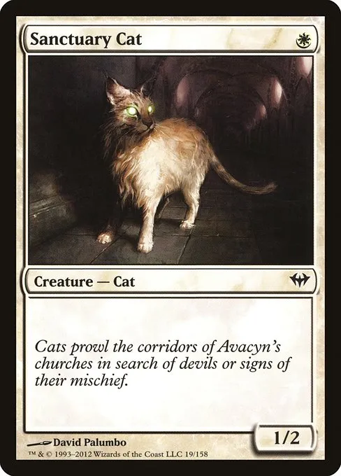 Sanctuary Cat · Dark Ascension 19/158