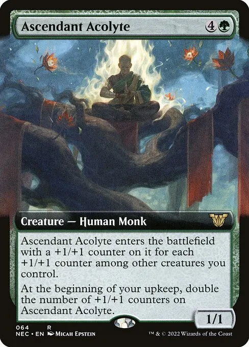 Ascendant Acolyte · Neon Dynasty Commander 64/179