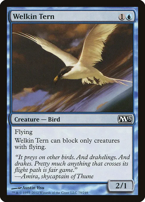Welkin Tern · Magic 2013 79/249