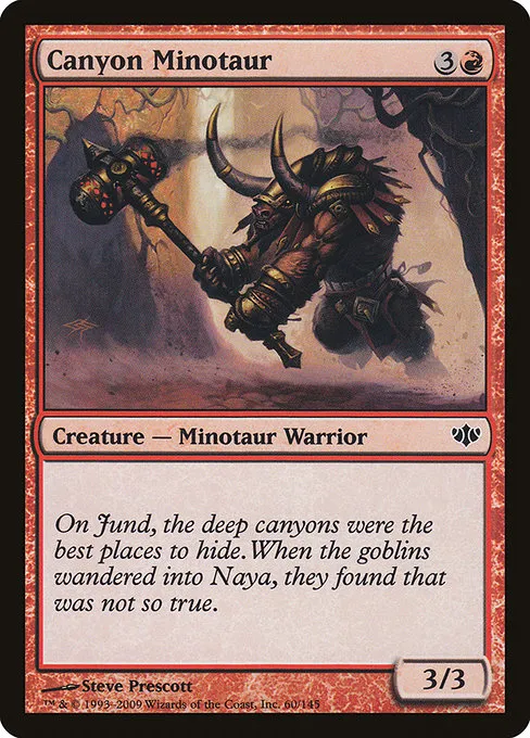 Canyon Minotaur · Conflux 60/145