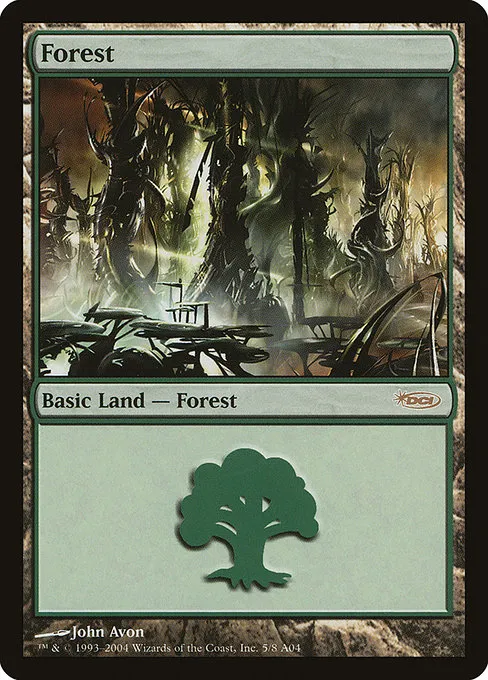 Forest · Arena League 2004 5/14