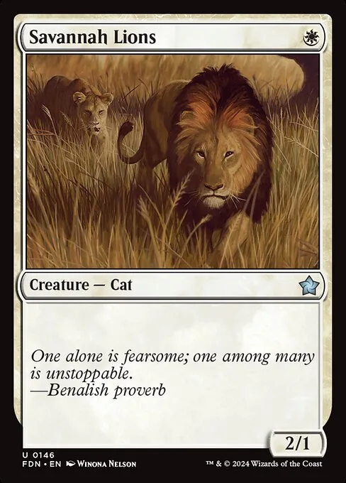 Savannah Lions · Foundations 146/771