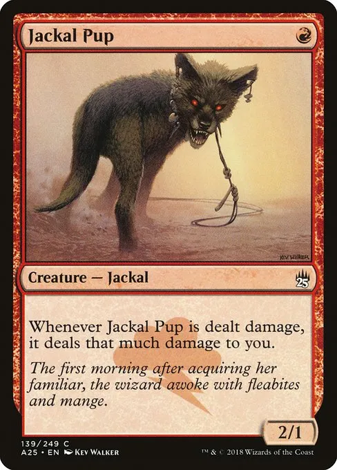 Jackal Pup · Masters 25 139/249