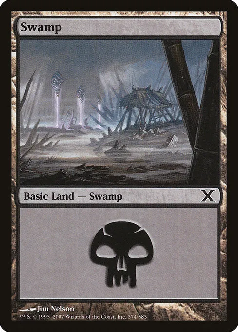 Swamp · Tenth Edition 374/510