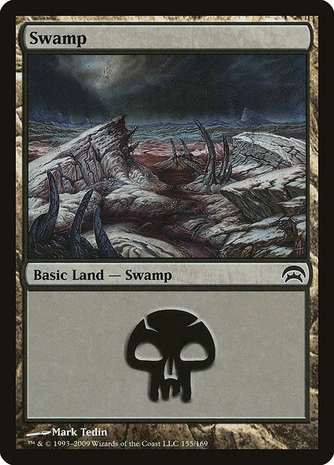 Swamp · Planechase 155/169