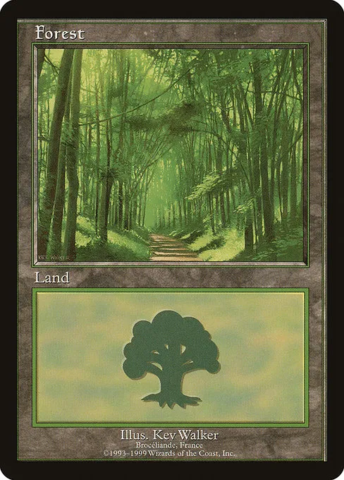 Forest · European Land Program 6/15