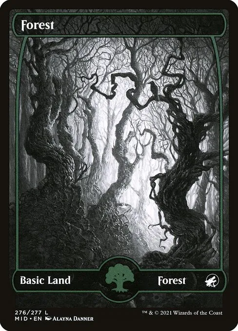 Forest · Innistrad: Midnight Hunt 276/399
