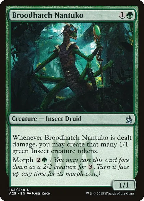 Broodhatch Nantuko · Masters 25 162/249