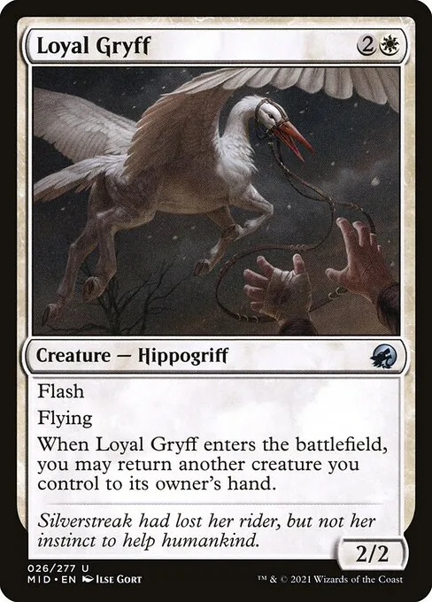 Loyal Gryff · Innistrad: Midnight Hunt 26/399