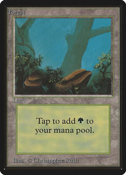 Forest · Limited Edition Beta 300/302