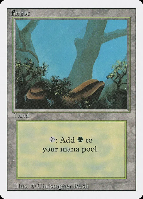Forest · Revised Edition 304/306