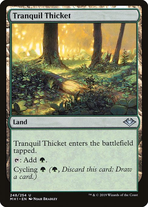 Tranquil Thicket · Modern Horizons 248/255