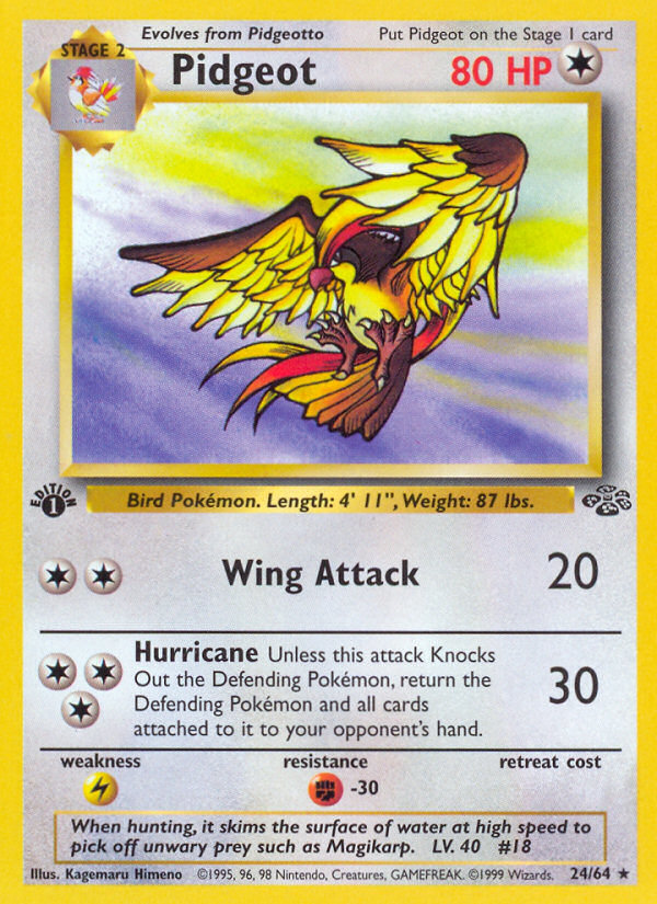 Pidgeot · Jungle 24/64
