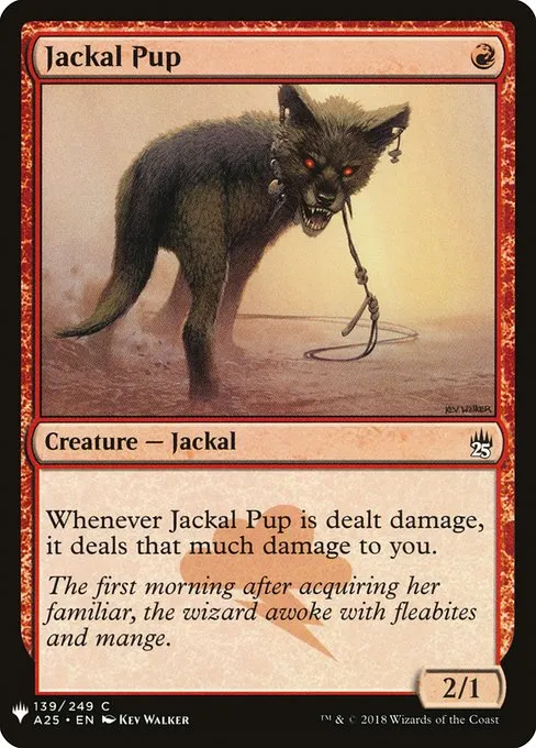 Jackal Pup · The List A25-139/5050