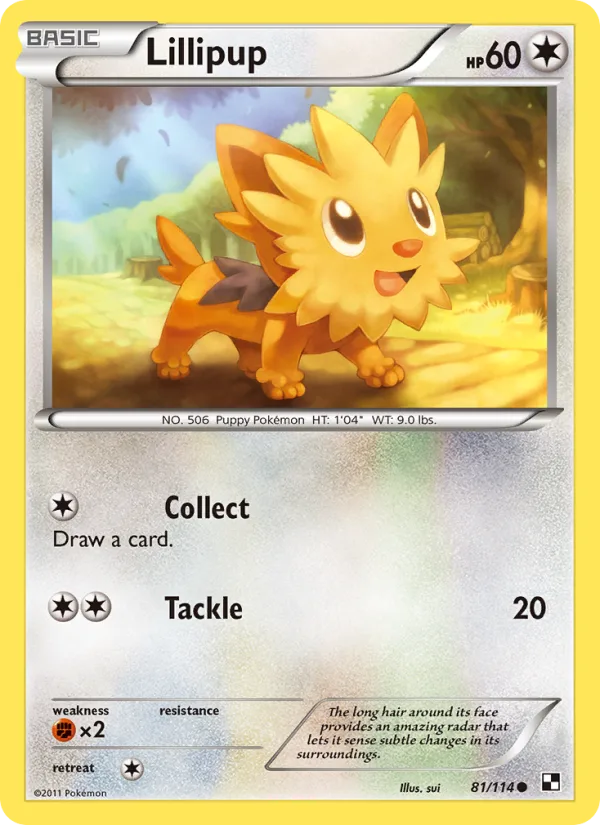 Lillipup · Black & White 81/114