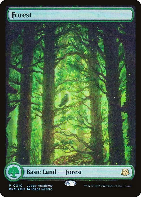 Forest · Judge Gift Cards 2023 10/10