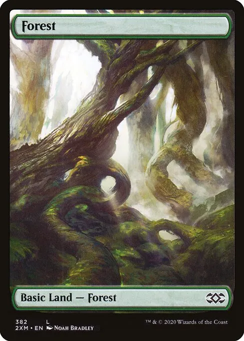 Forest · Double Masters 382/384