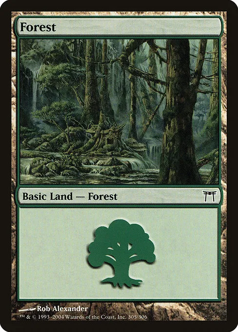 Forest · Champions of Kamigawa 305/307