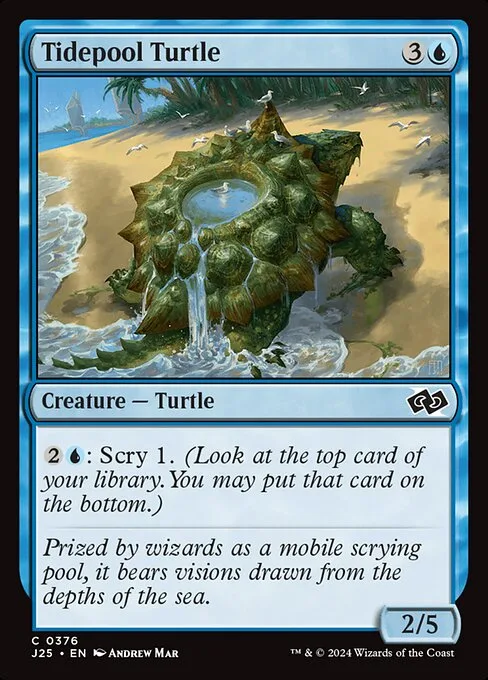 Tidepool Turtle · Foundations Jumpstart 376/779