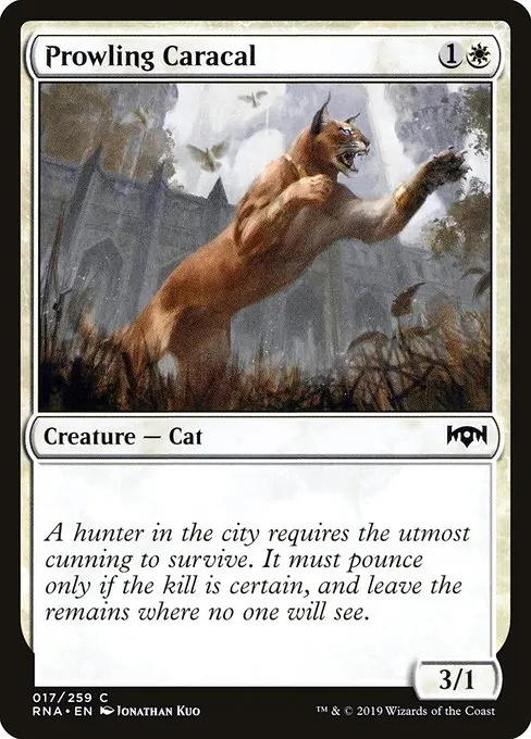 Prowling Caracal · Ravnica Allegiance 17/273