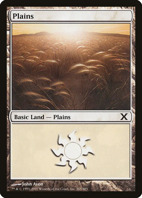 Plains · Tenth Edition 365/510