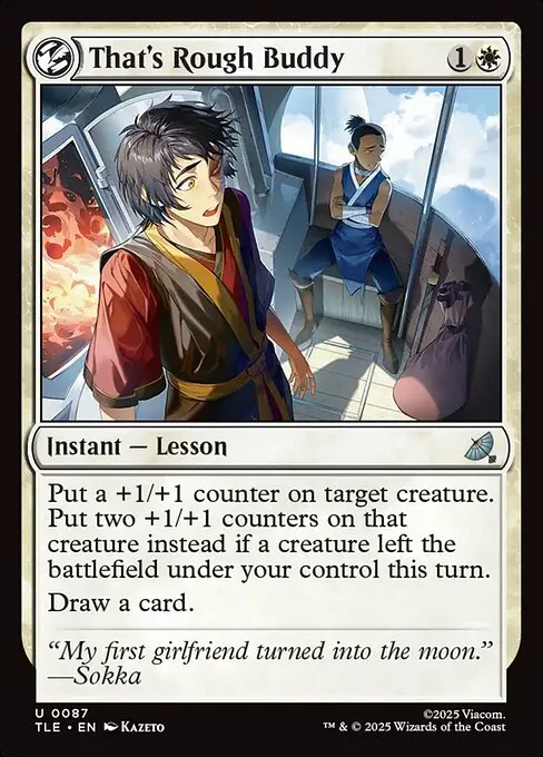 That's Rough Buddy · Avatar: The Last Airbender Eternal 87/317