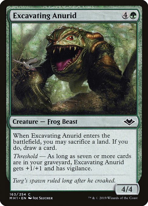 Excavating Anurid · Modern Horizons 163/255