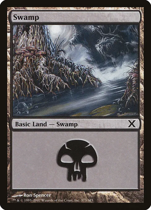 Swamp · Tenth Edition 373/510