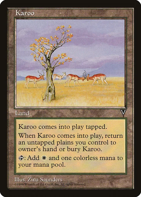 Karoo · Visions 165/167