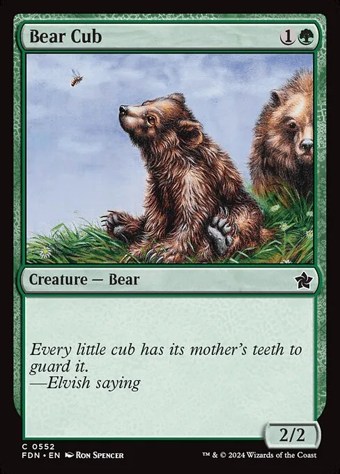 Bear Cub · Foundations 552/771