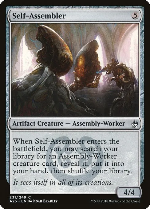 Self-Assembler · Masters 25 231/249