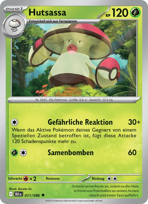 Hutsassa · Schwarze Blitze 011/86